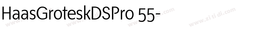 HaasGroteskDSPro 55字体转换